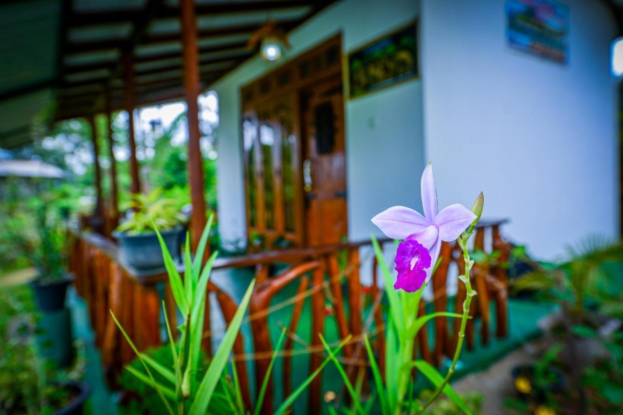 Astral Zone Cottage Ella Exterior foto